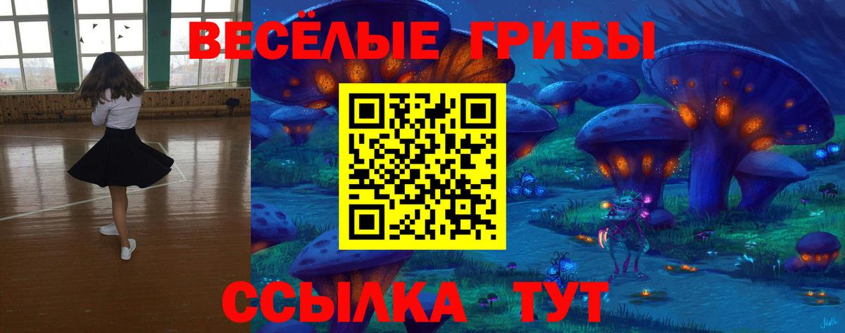 Галлюциногенные грибы Magic Shrooms  Вход с VPN  Елизово  Псилоцибиновые грибы Psilocybine cubensis 